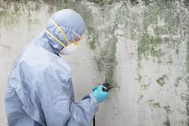 Mold Removal for HVAC Installations in Montello, WI